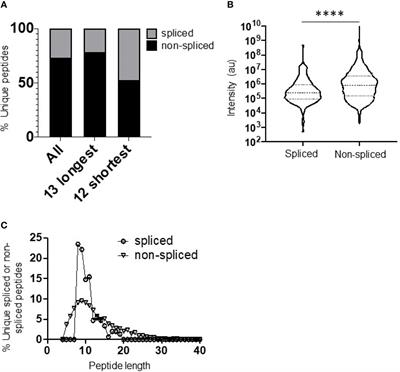 Corrigendum: Elucidation of the Signatures of Proteasome-Catalysed Peptide Splicing